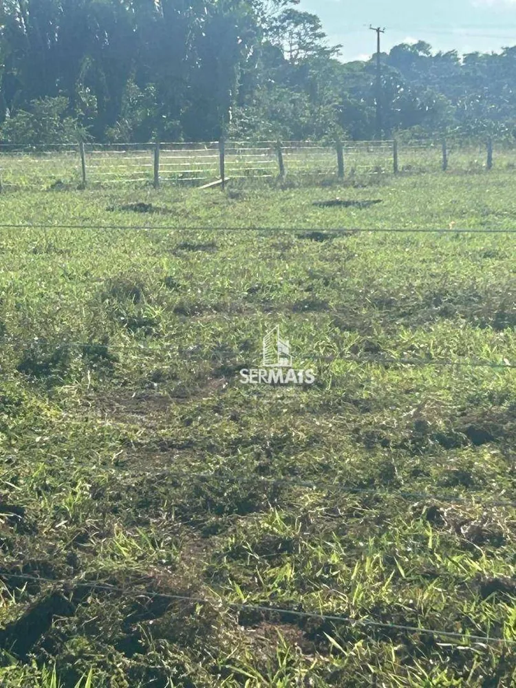 Fazenda, 323 hectares - Foto 1