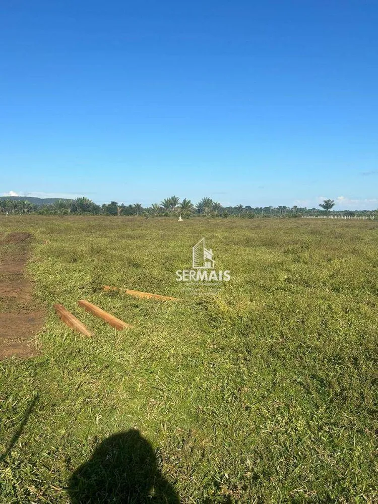 Fazenda, 323 hectares - Foto 3