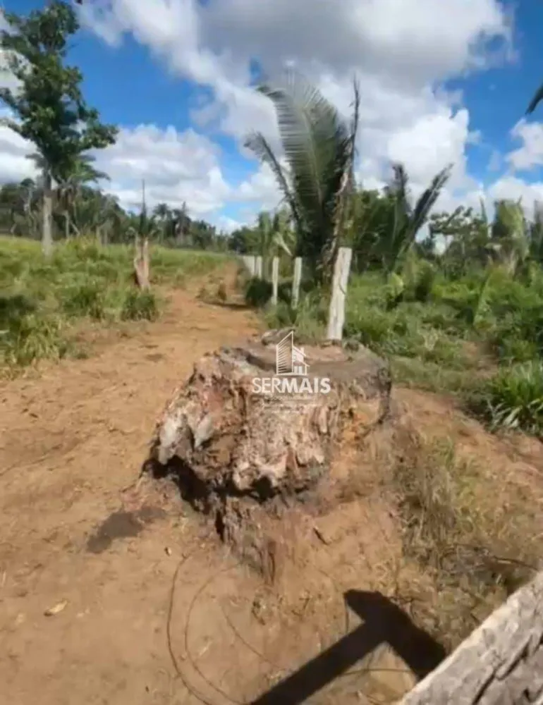 Fazenda, 323 hectares - Foto 13