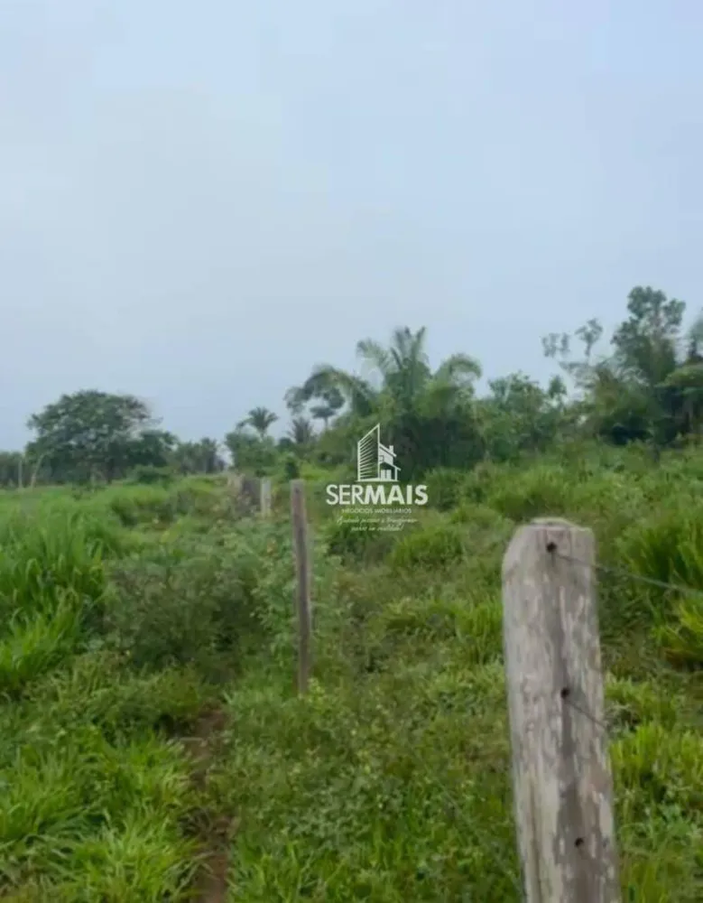 Fazenda, 323 hectares - Foto 9