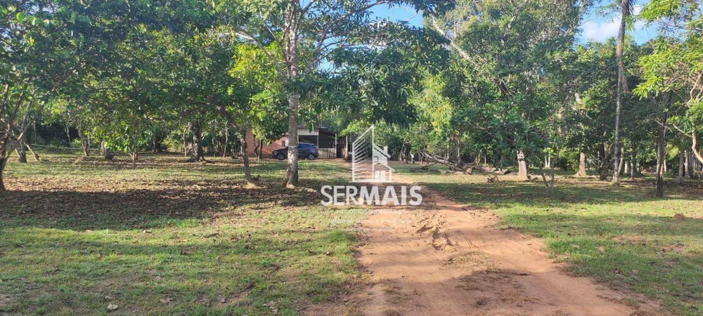 Fazenda, 28 hectares - Foto 10