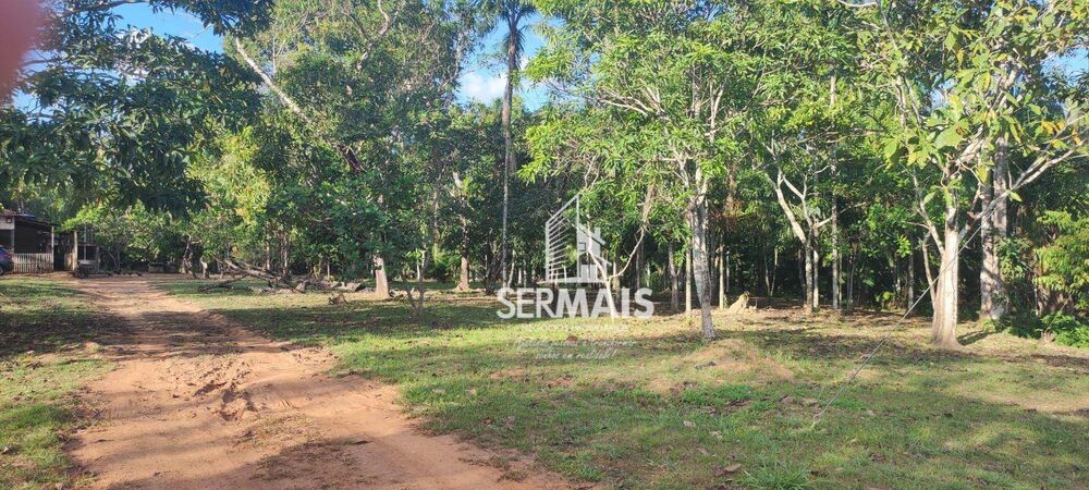 Fazenda, 28 hectares - Foto 6