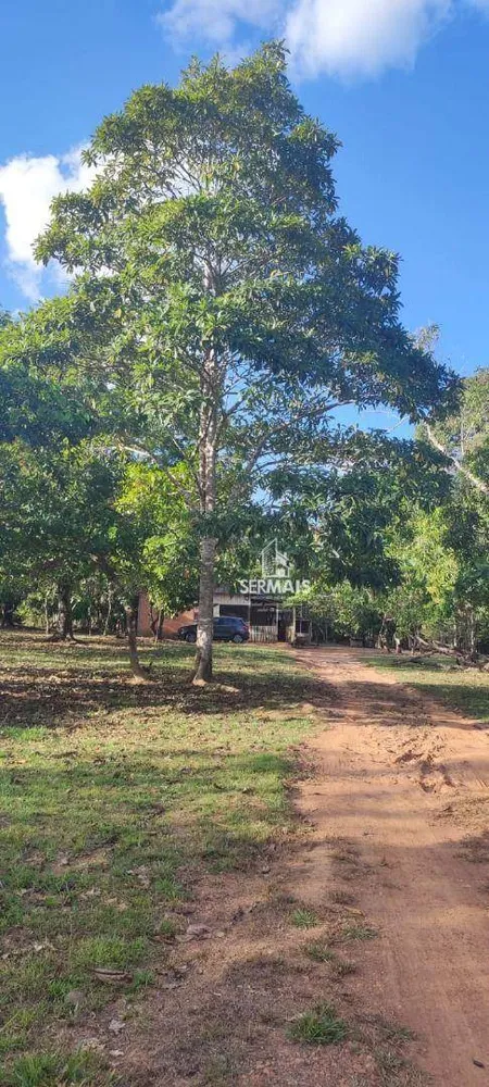Fazenda, 28 hectares - Foto 9