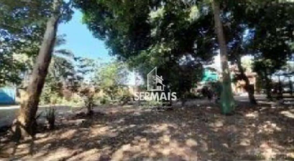 Chácara, 5 quartos, 5000 m² - Foto 9