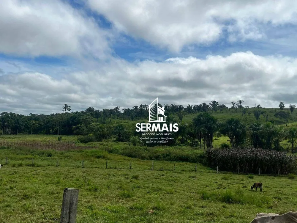 Fazenda, 199 hectares - Foto 5