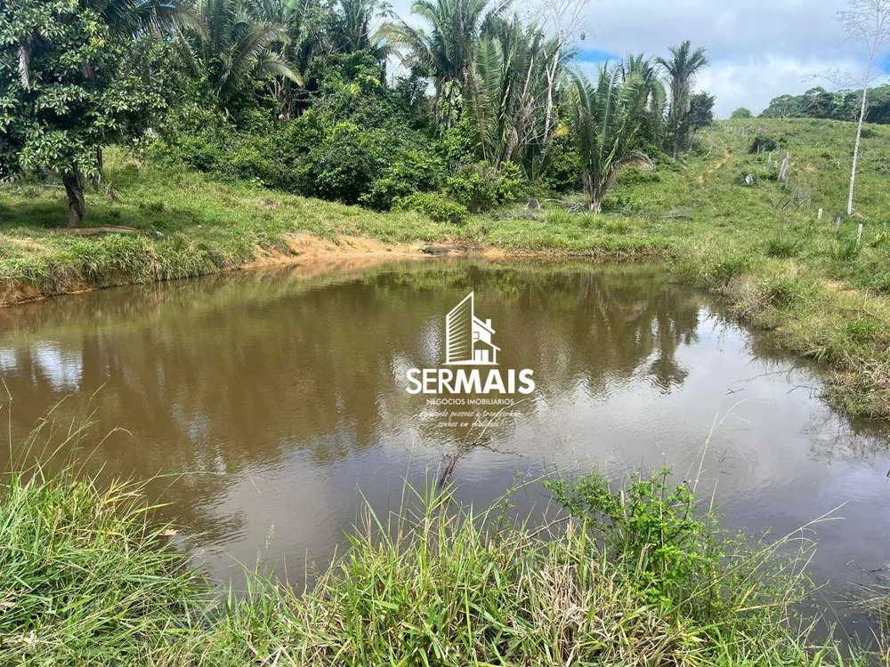 Fazenda, 199 hectares - Foto 11