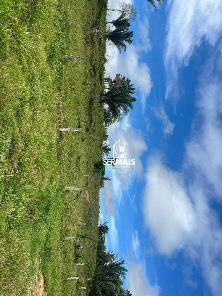 Fazenda, 199 hectares - Foto 9