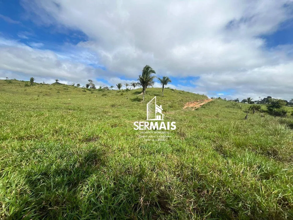 Fazenda, 199 hectares - Foto 6