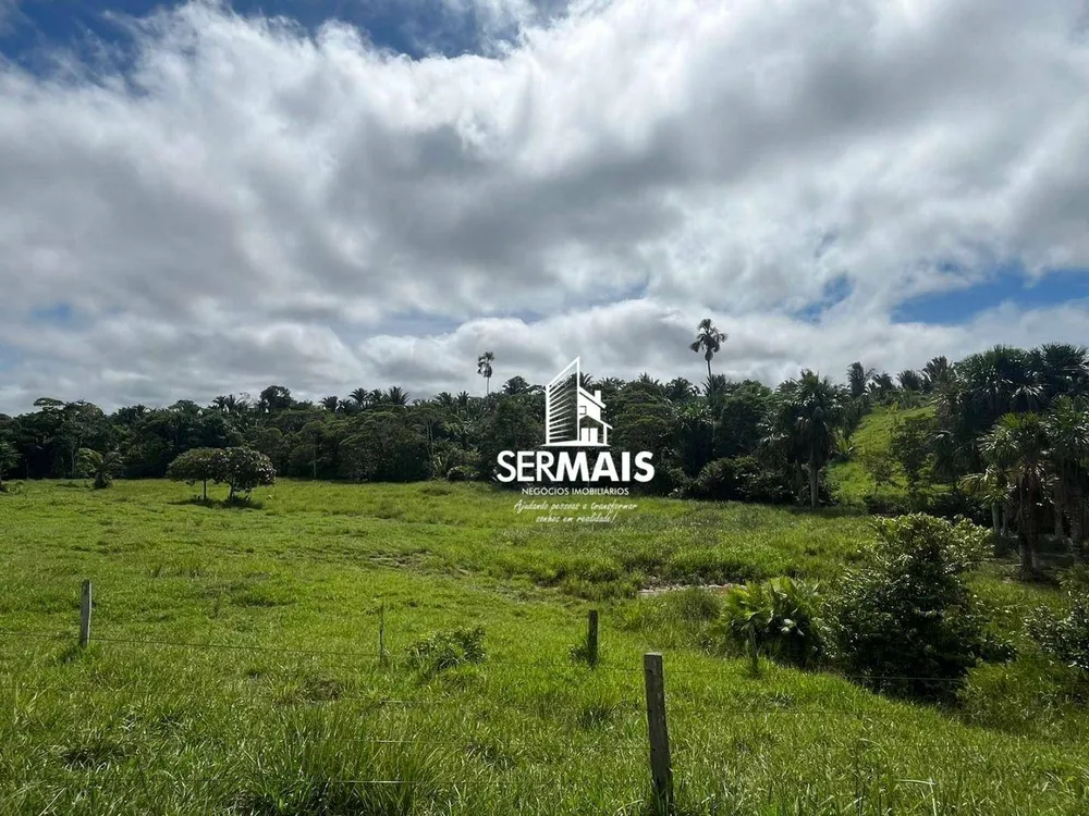Fazenda, 199 hectares - Foto 7