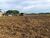 Fazenda, 254 hectares - Foto 4