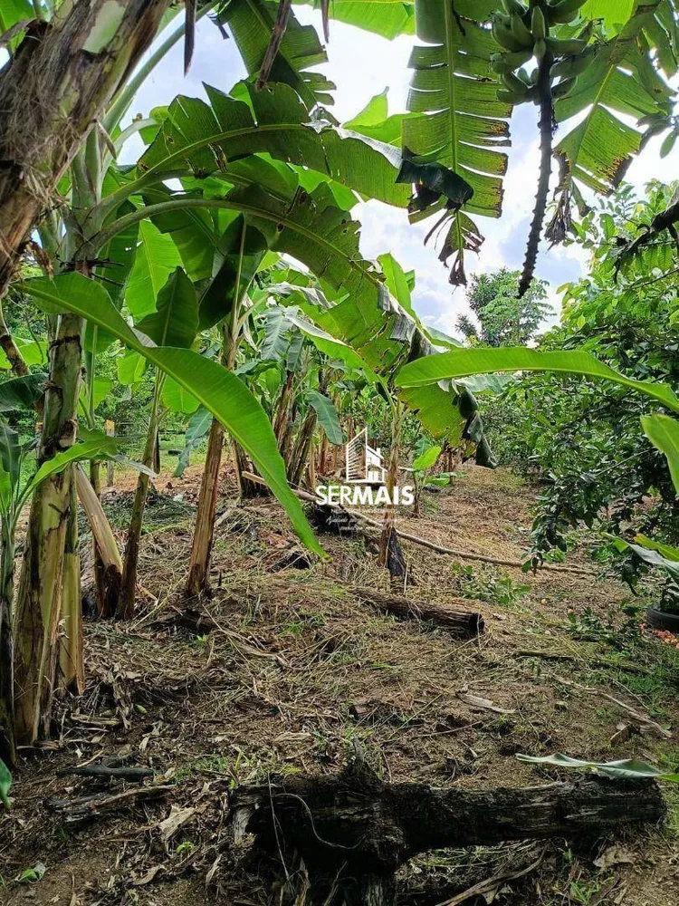Chácara, 1 quarto, 3 hectares - Foto 7