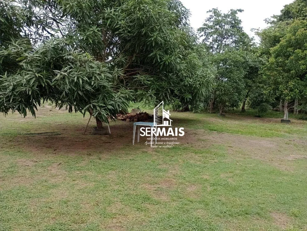 Chácara, 1 quarto, 3 hectares - Foto 12