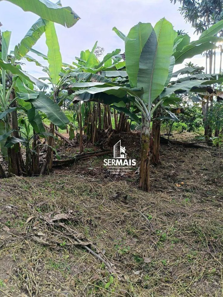 Chácara, 1 quarto, 3 hectares - Foto 8