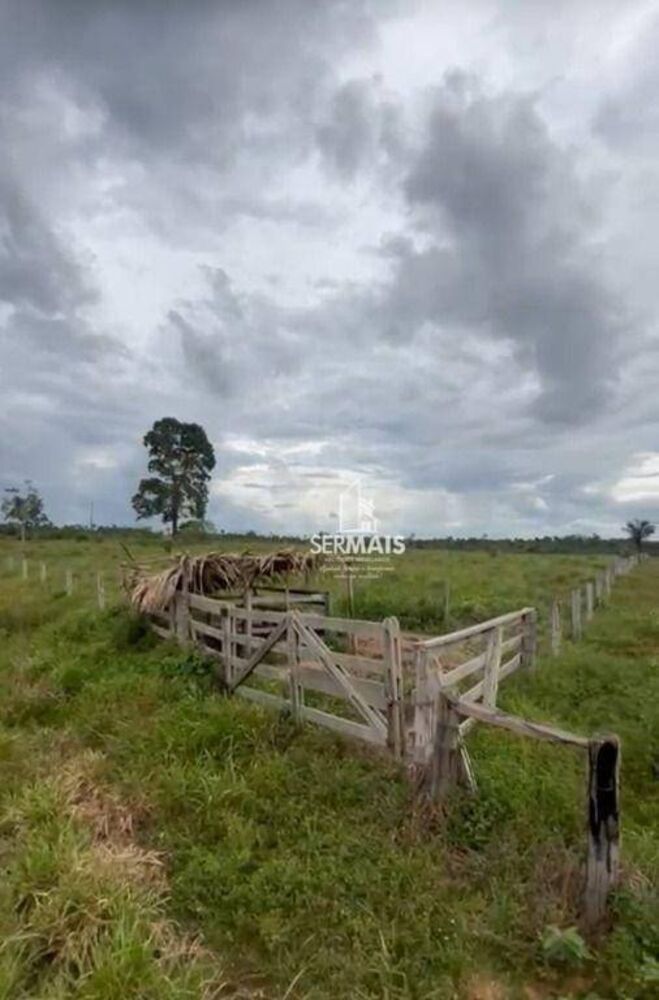 Sítio, 50 hectares - Foto 1
