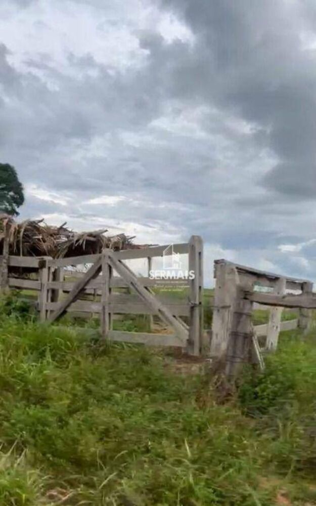 Sítio, 50 hectares - Foto 3