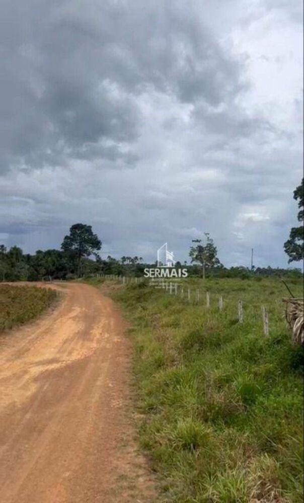 Sítio, 50 hectares - Foto 6