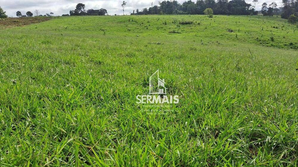 Fazenda, 53 hectares - Foto 1