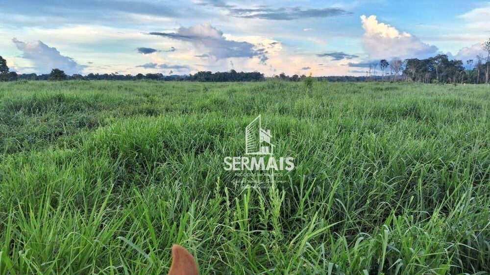 Fazenda, 53 hectares - Foto 8