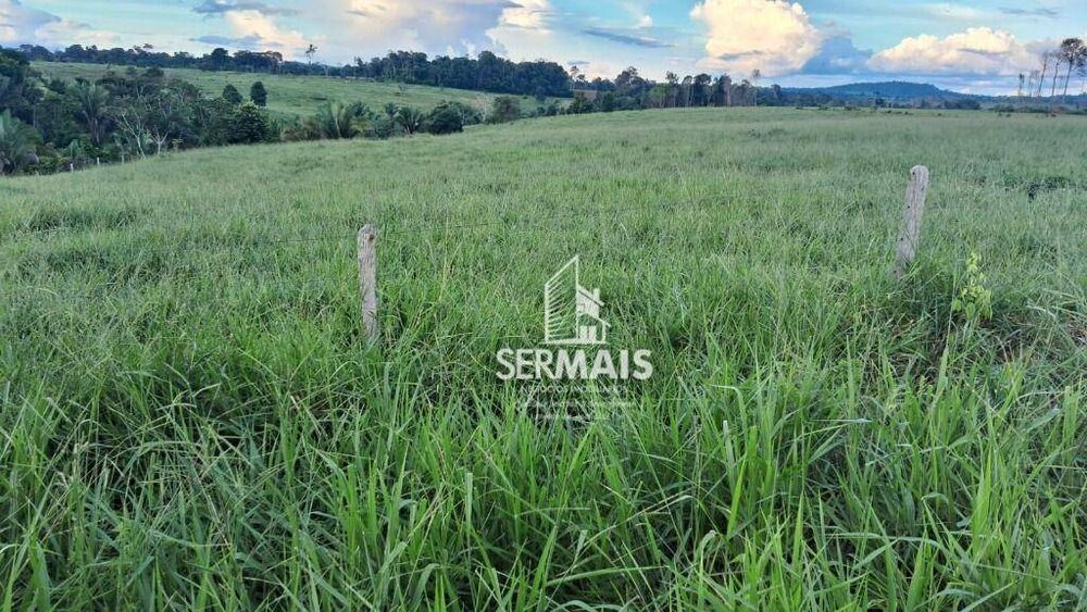 Fazenda, 53 hectares - Foto 7