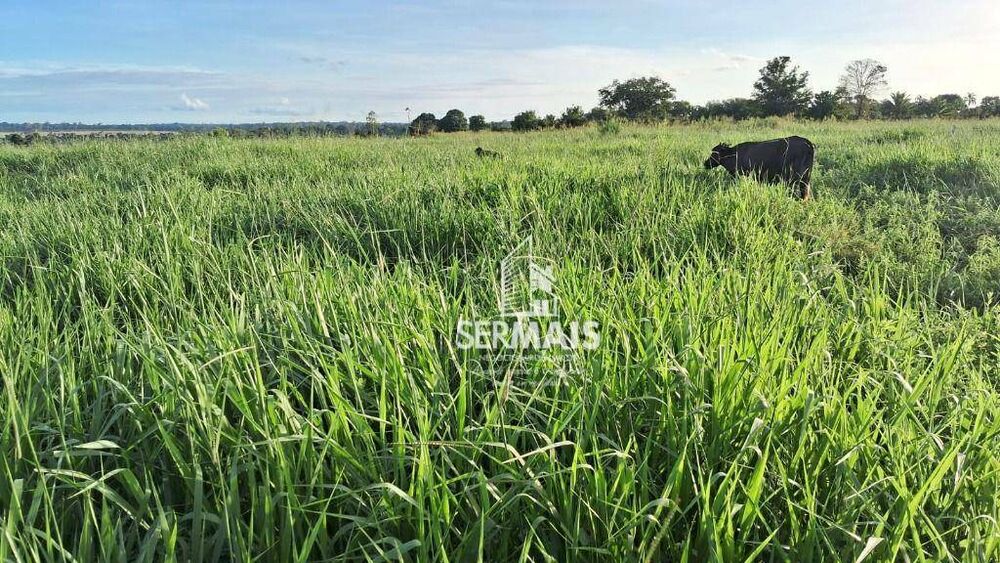 Fazenda, 53 hectares - Foto 2