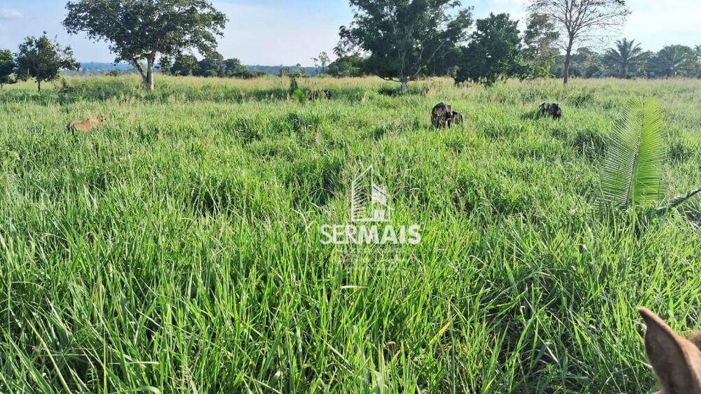 Fazenda, 53 hectares - Foto 6