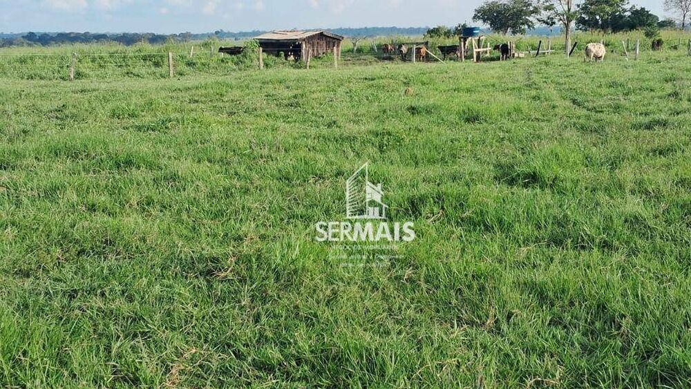 Fazenda, 53 hectares - Foto 5