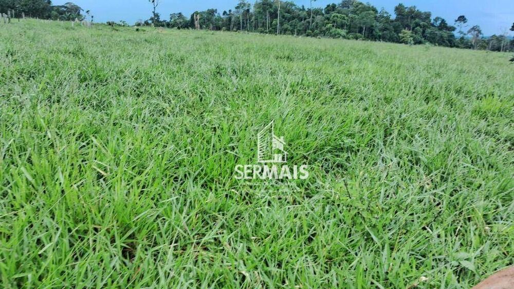 Fazenda, 53 hectares - Foto 3