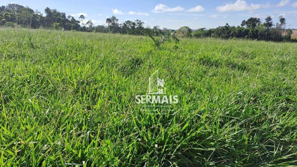 Fazenda, 53 hectares - Foto 4