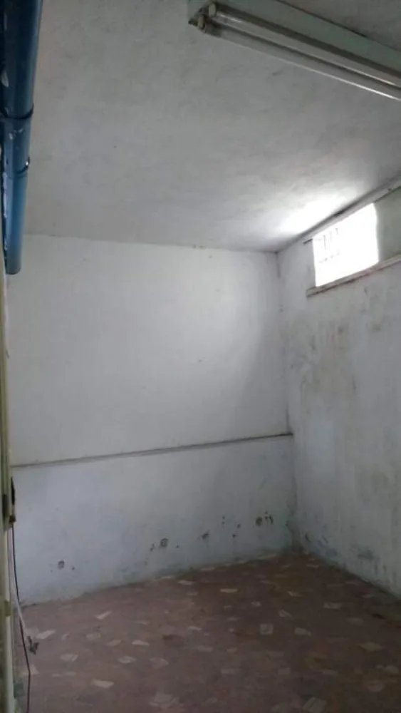 Casa, 4 quartos, 255 m² - Foto 14