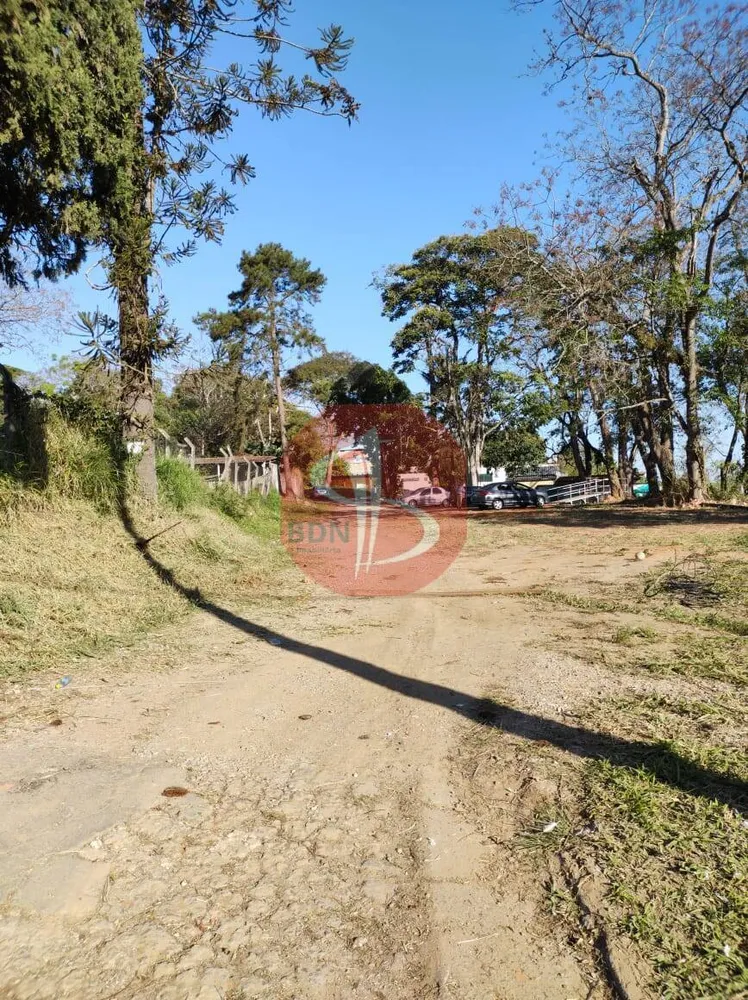 Terreno, 7 hectares - Foto 4