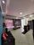Sala-Conjunto, 250 m² - Foto 3