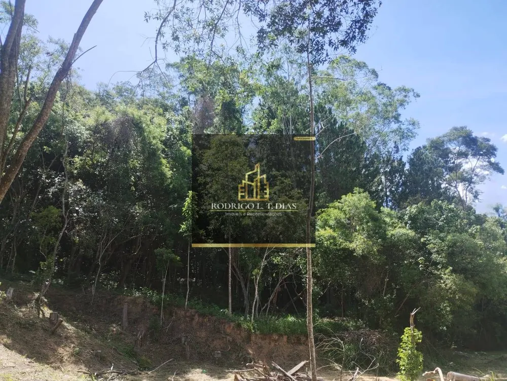 Terreno, 10000 m² - Foto 3