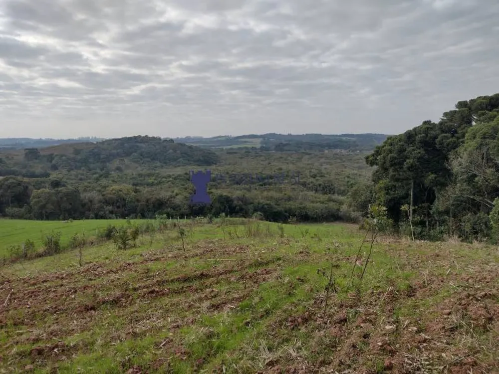 Terreno, 5 hectares - Foto 1