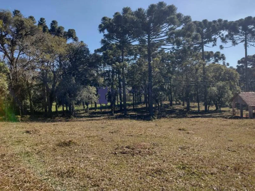 Sítio, 2 quartos, 14 hectares - Foto 1
