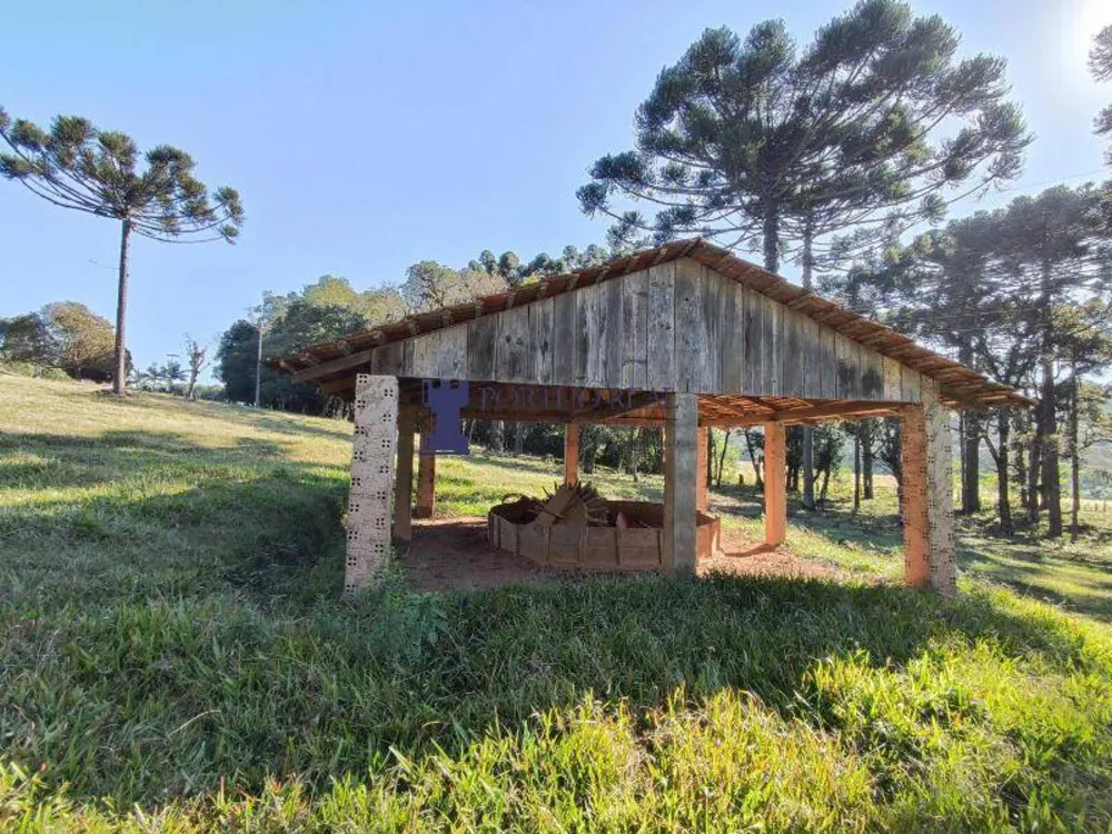 Sítio, 2 quartos, 14 hectares - Foto 12