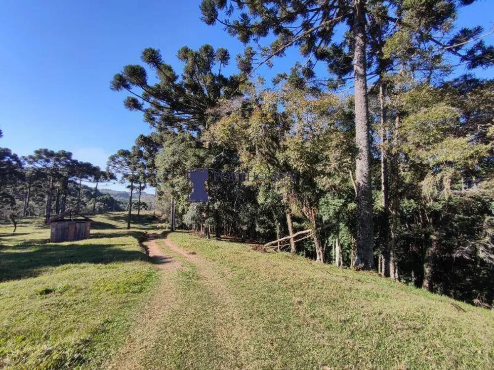 Sítio, 2 quartos, 14 hectares - Foto 11