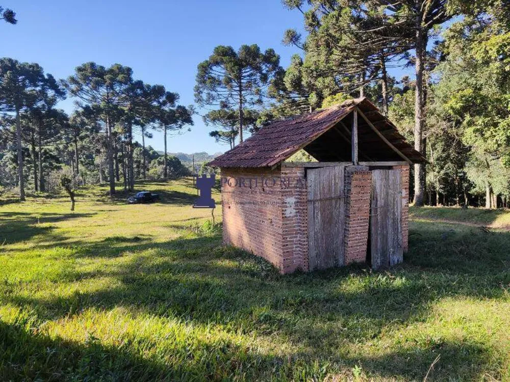 Sítio, 2 quartos, 14 hectares - Foto 6