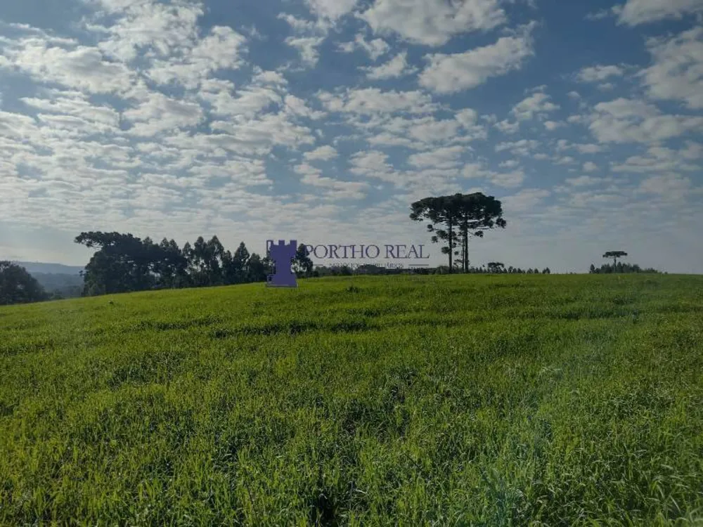 Terreno - Foto 7