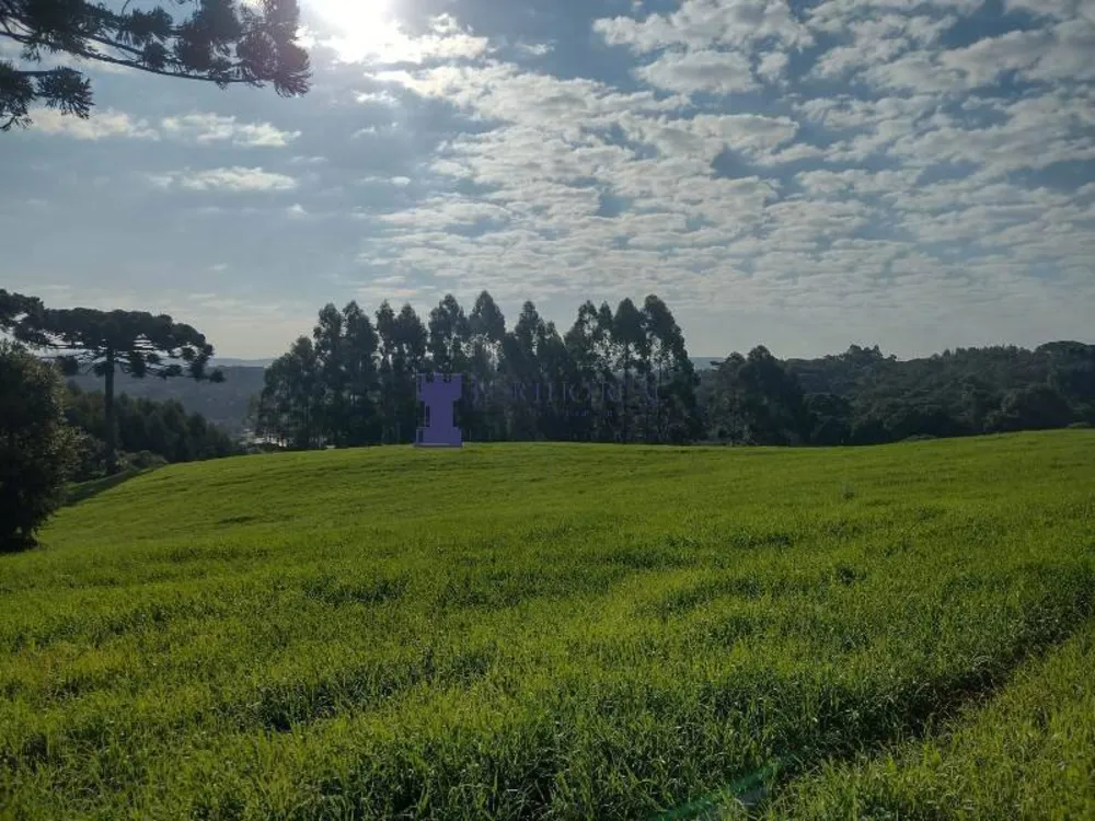 Terreno - Foto 2
