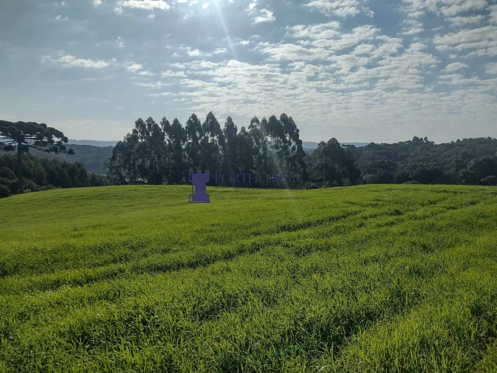 Terreno - Foto 4