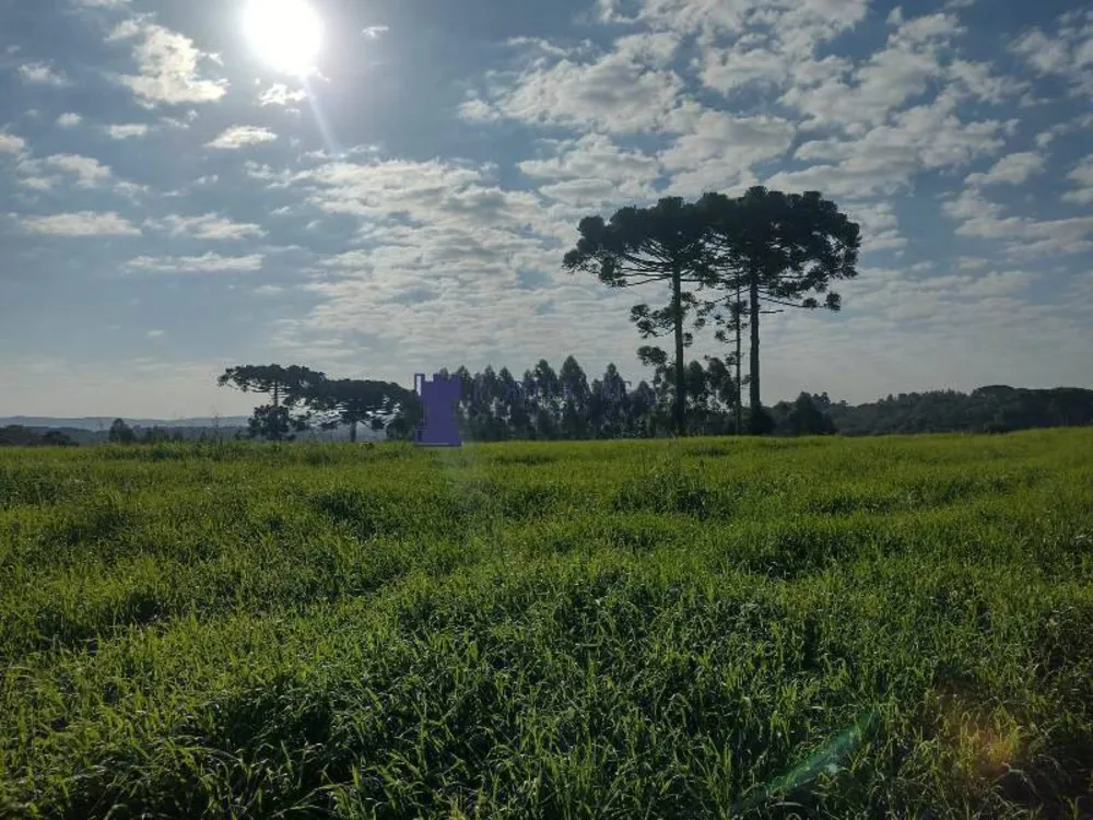 Terreno - Foto 6