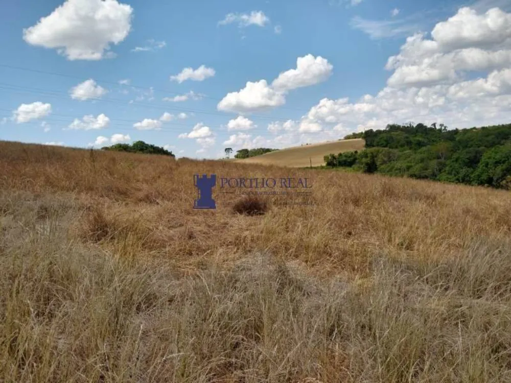 Terreno, 3 hectares - Foto 6