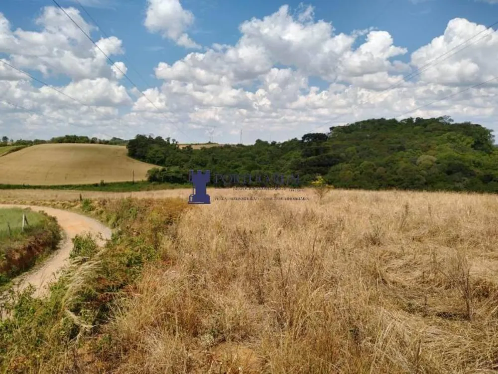 Terreno, 3 hectares - Foto 12