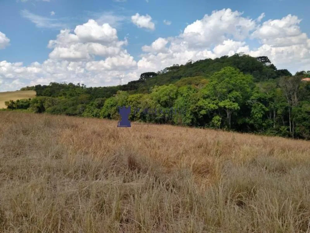Terreno, 3 hectares - Foto 11