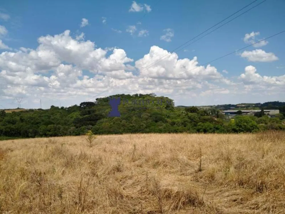 Terreno, 3 hectares - Foto 7