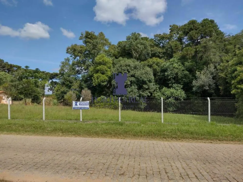Terreno, 3 hectares - Foto 11