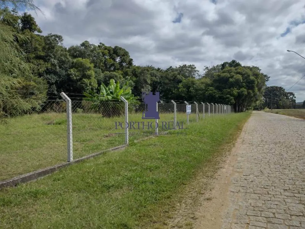 Terreno, 3 hectares - Foto 4