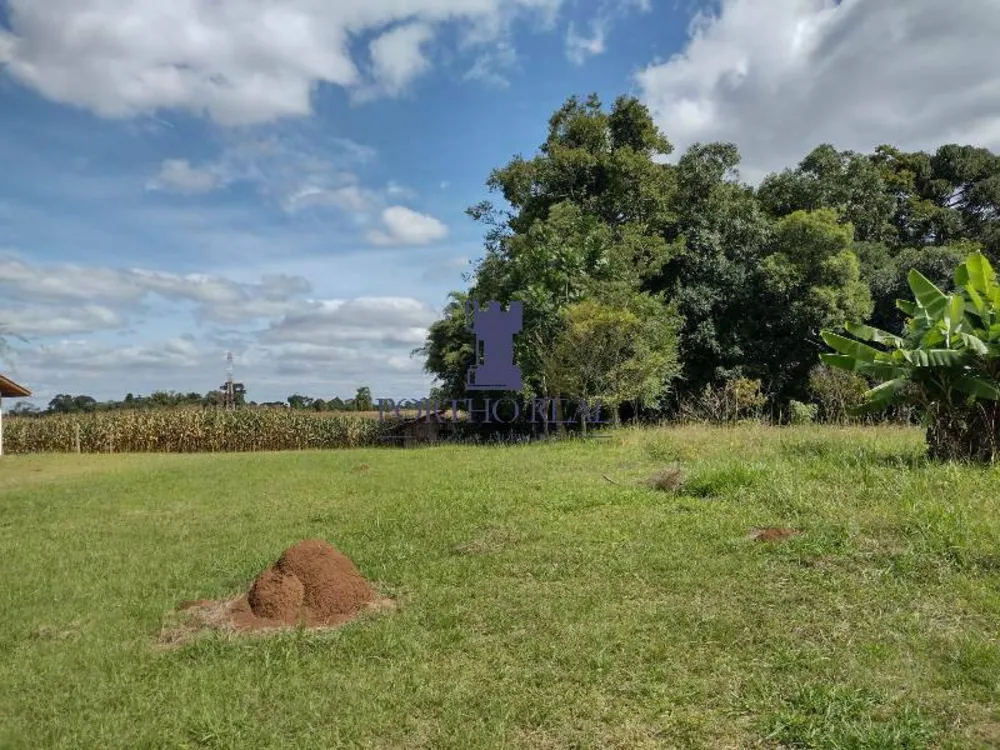 Terreno, 3 hectares - Foto 1