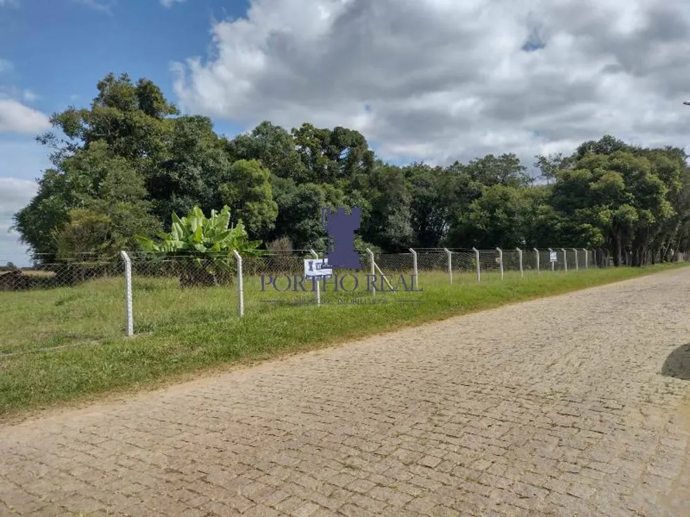 Terreno, 3 hectares - Foto 7