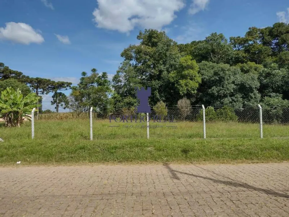 Terreno, 3 hectares - Foto 8